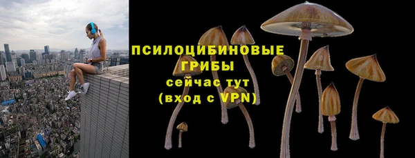 СК Алзамай