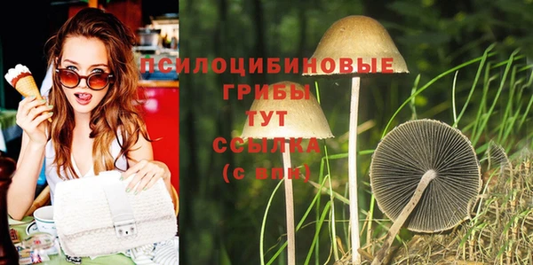 спайс Саяногорск