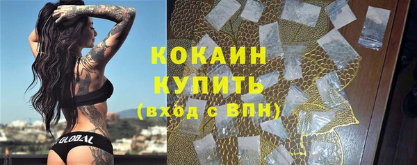 СК Алзамай
