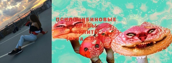 Альфа ПВП Алексин