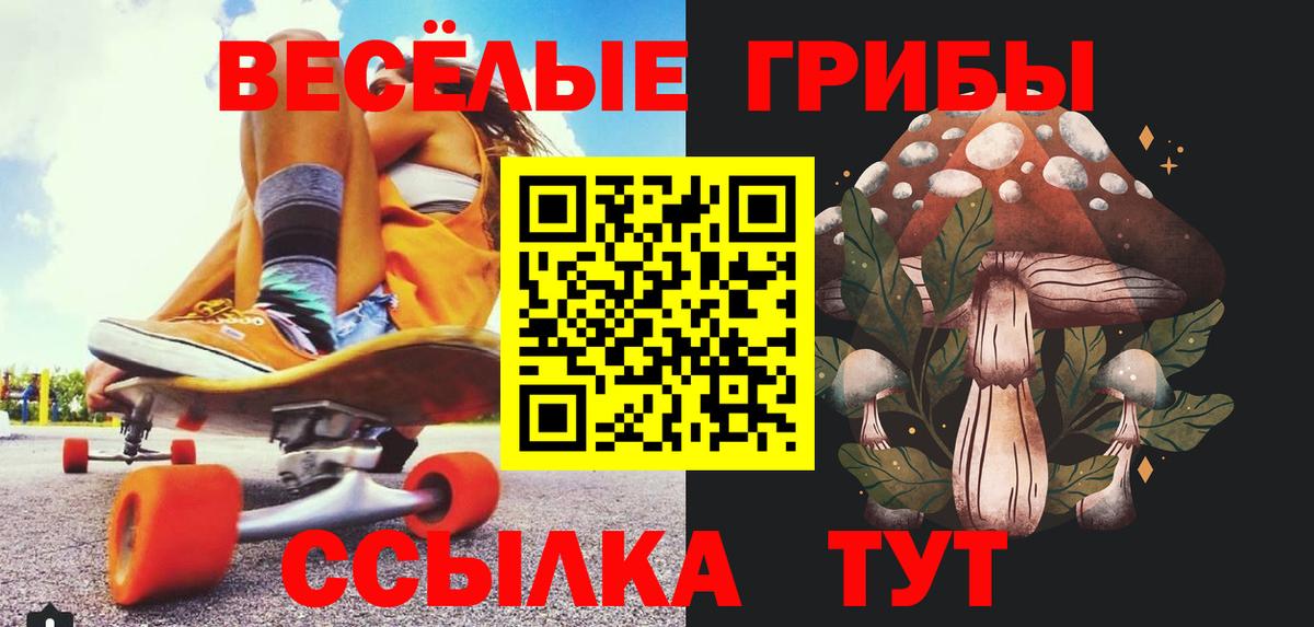 Галлюциногенные грибы Cubensis Куйбышев