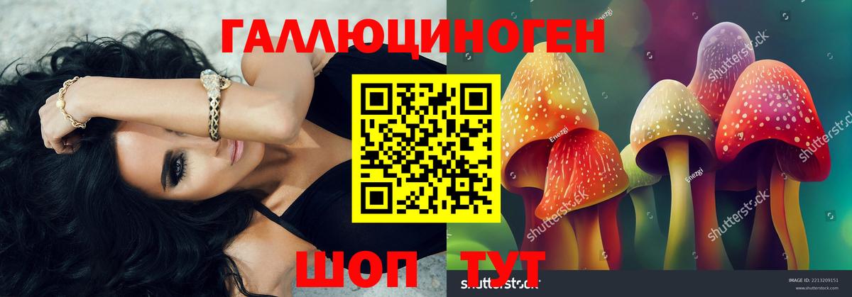 Куйбышев  даркнет сайт  Вход с VPN  Галлюциногенные грибы Magic Shrooms 